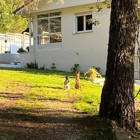 Casa O Remansino דירה *