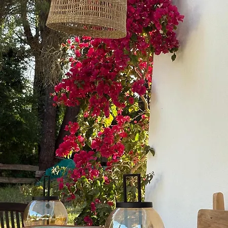 דירה Casa O Remansino Hio